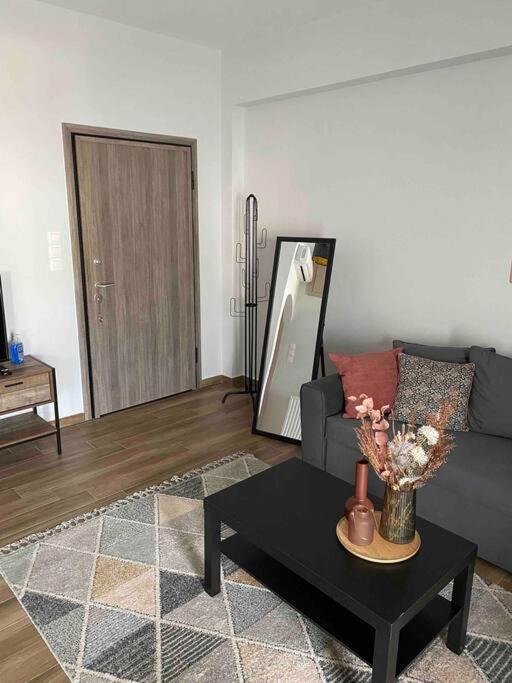 Luxury Apartments 1 沃洛斯 外观 照片